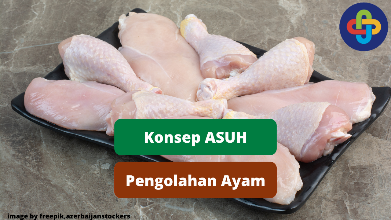 Kenali ASUH Dalam Pengolahan Ayam